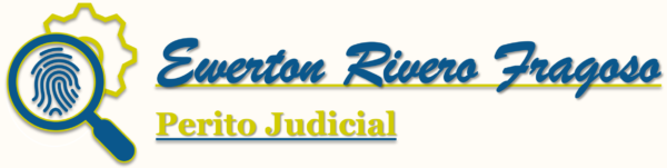 Perito, Assistente Técnico, Engenheiro e Gerente de Projetos